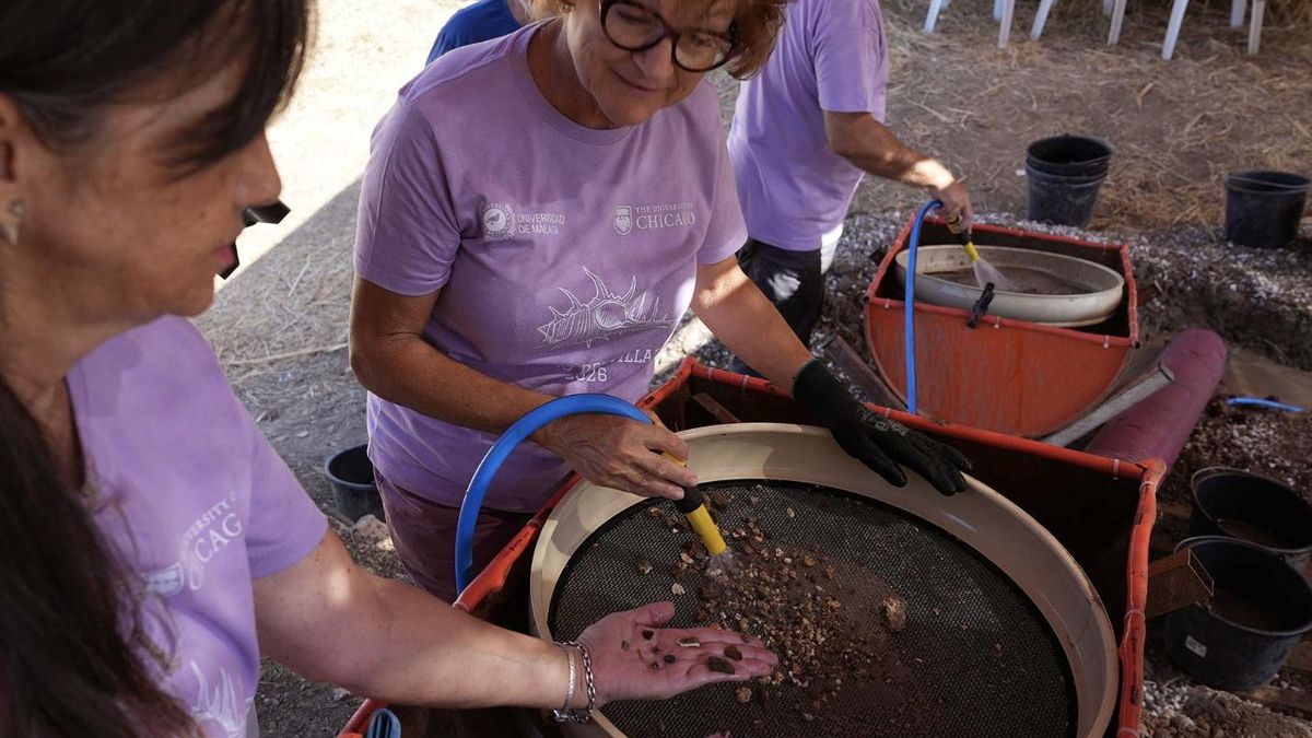 El yacimiento conserva testimonios de comercio y vida urbana