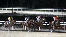El Estado vuelve a salir al rescate del Hipódromo de la Zarzuela con otros 6 millones de dinero público