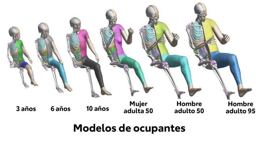 Modelos de ocupantes por edad y sexo.
