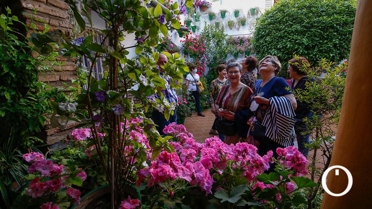 Patio Parras 8 - 2022