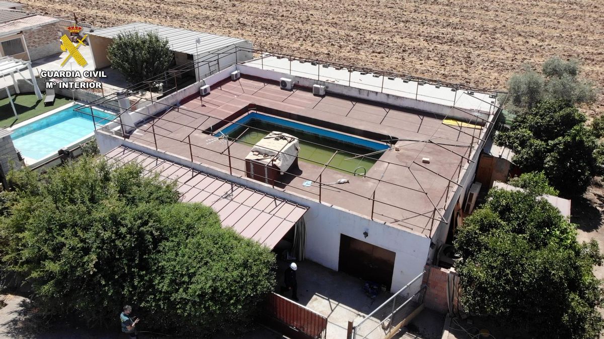 Parcela donde se cultivaba la droga.