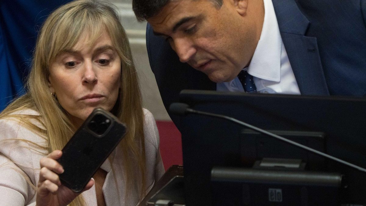 Los senadores del peronismo Juliana Di Tullio y Daniel Bensusán