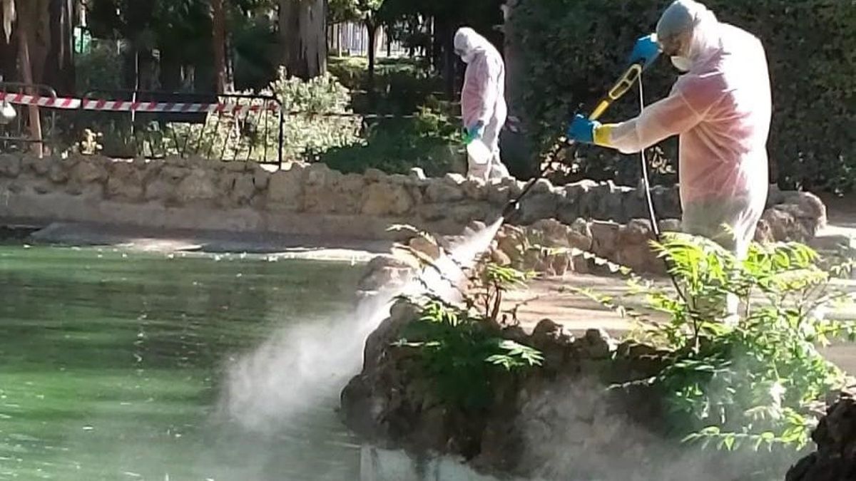 Limpieza de un estanque del parque de María Luisa de Sevilla.