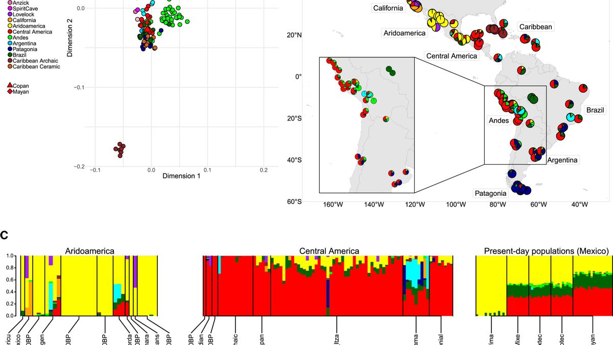 Perfiles genómicos del Copán Clásico en el contexto de las poblaciones americanas antiguas y actuales