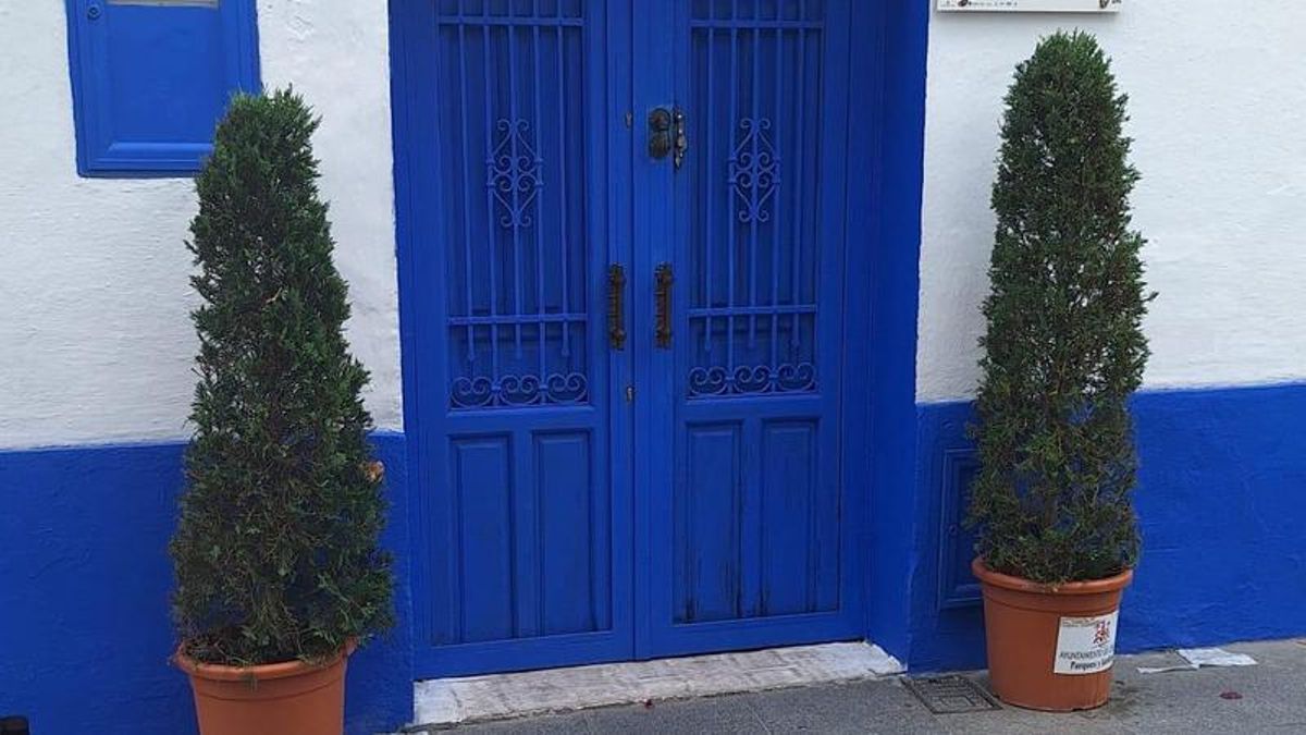 Los dos pinos en la puerta del patio.