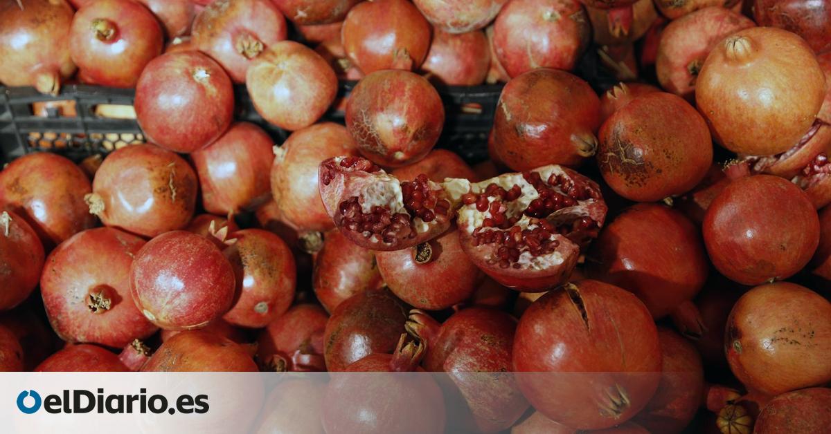 Esta fruta comienza su temporada en septiembre: una de las más antiguas y con orígenes mitológicos que la ligaban a la fertilidad