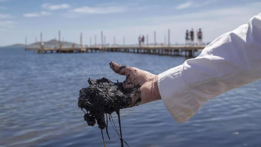 El Mar Menor llega a juicio como acusación y víctima en un proceso pionero: las claves del caso Topillo en Cartagena