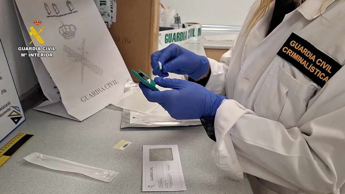 Una agente de la Guardia Civil realiza unas pruebas en el laboratorio.