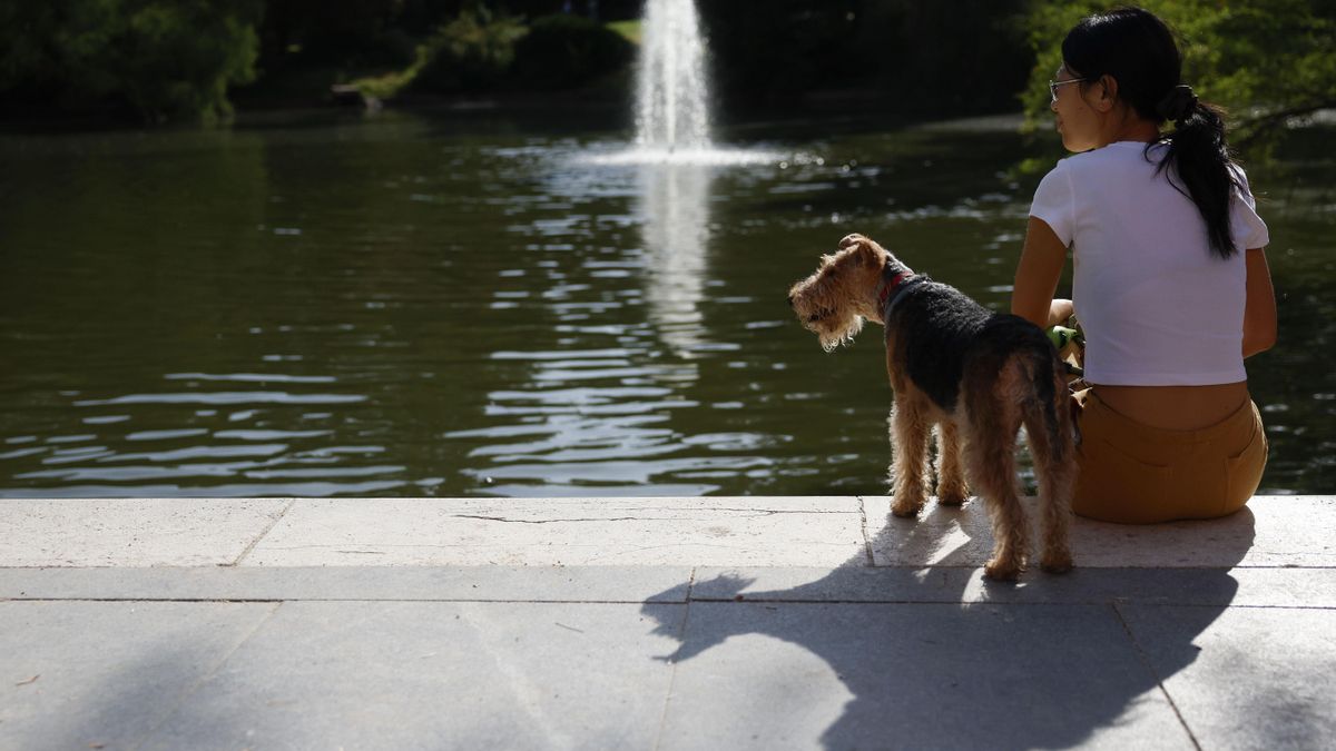 La Comunidad de Madrid despide agosto con más de 30 grados y sin avisos