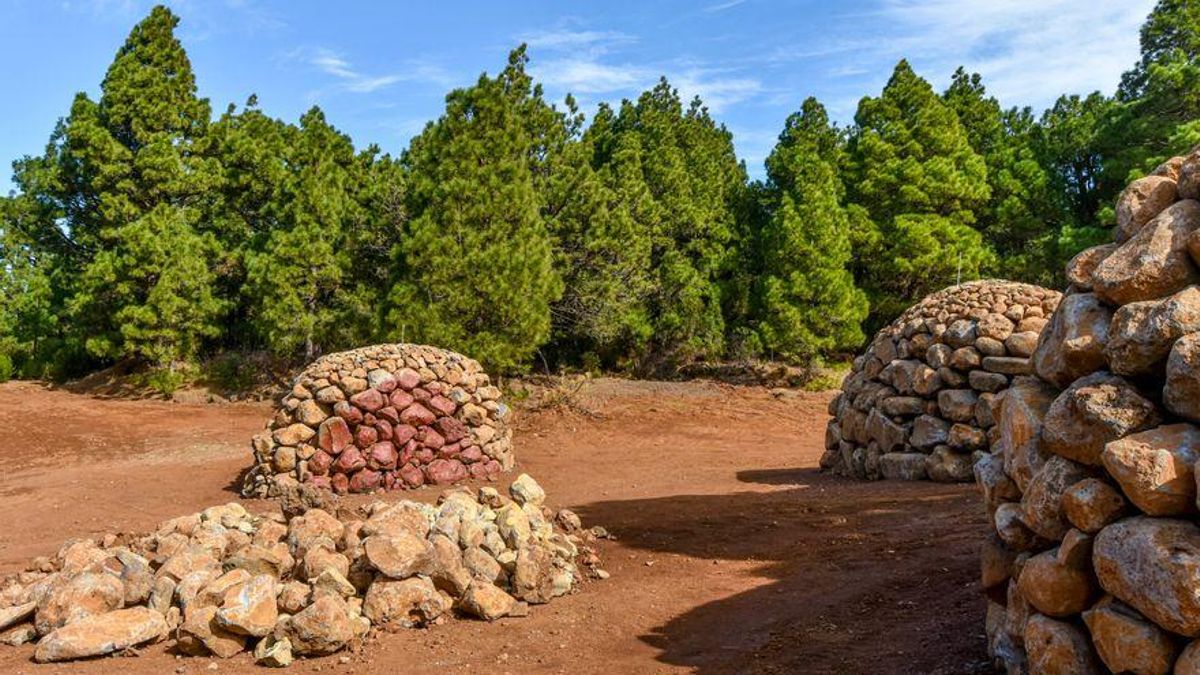 Primeros amontonamientos de piedras en la Montaña de Los Lisianes, aún sin policromar, febrero 2018.  Esta imagen captura la fase inicial del proyecto: cinco montículos circulares elevados en un claro del pinar, proyectados para ser pintados por dentro.