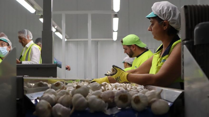 El paro subió en el segundo trimestre del año en Castilla-La Mancha y la tasa de desempleo llega al 14,11%