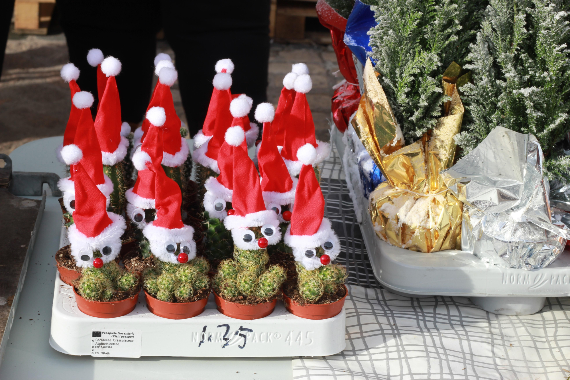 Recorrido puesto a puesto por la Navidad en la Plaza Mayor de Madrid