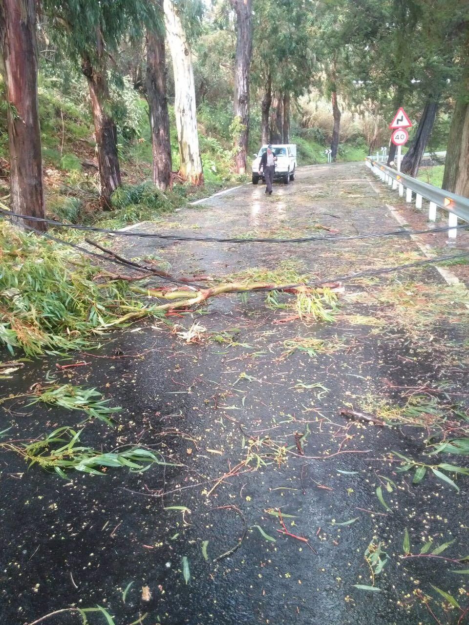 Tendido eléctrico caído en una carretera de Gran Canaria
