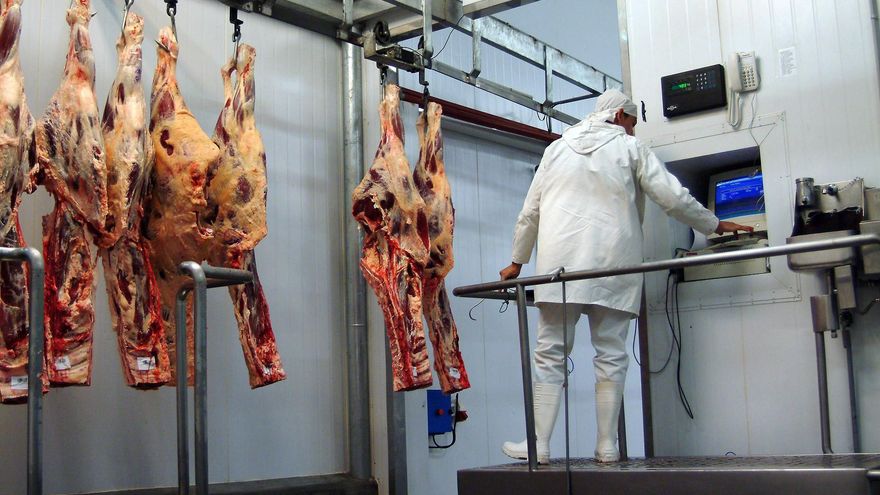 Paraguay anuncia que recibió el visto bueno de Panamá para exportar carne bovina