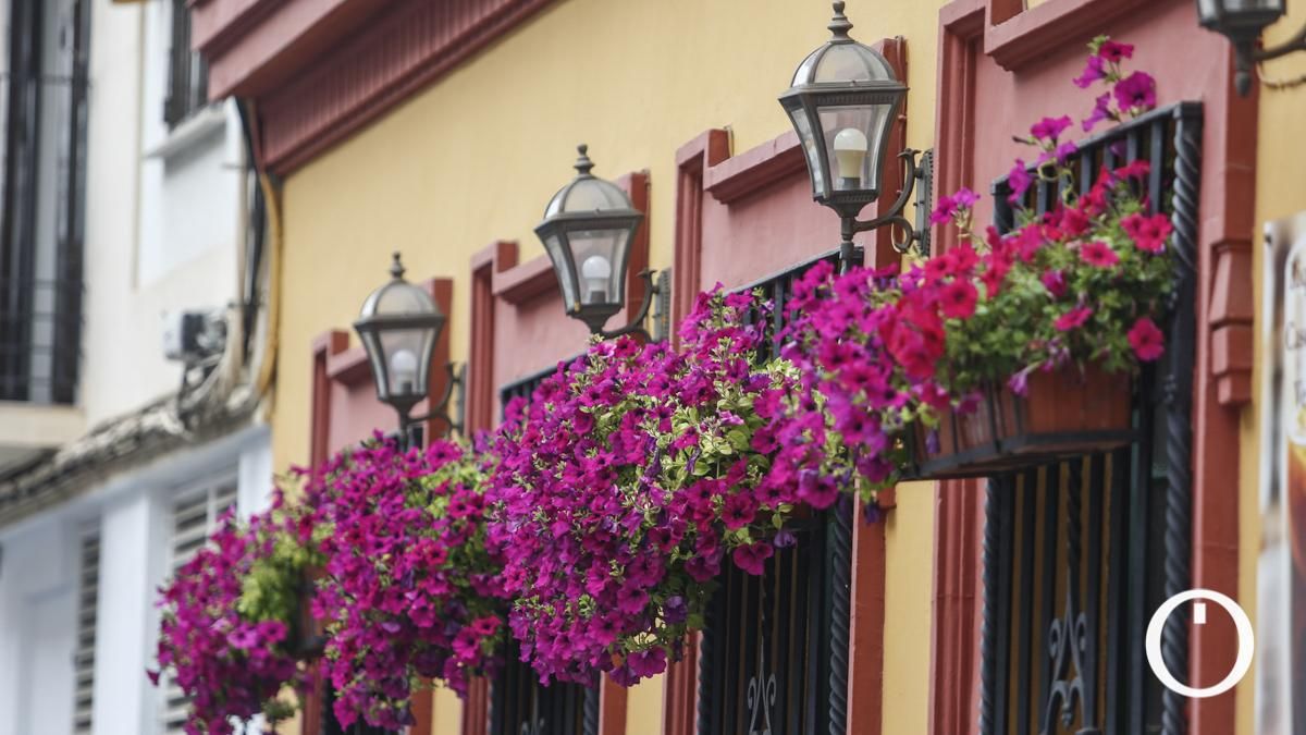 Rejas y Balcones en la C/ Maria Auxiliadora, 25