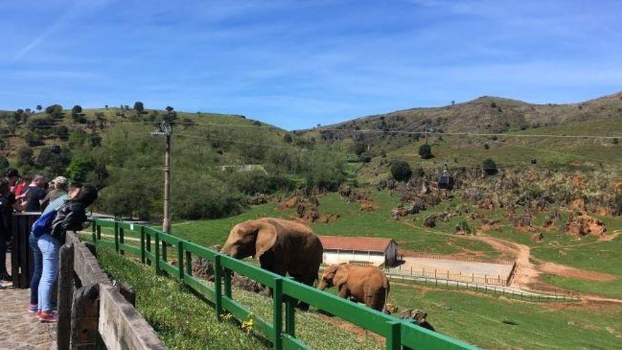 Recinto de elefantes del Parque de la Naturaleza de Cabárceno.