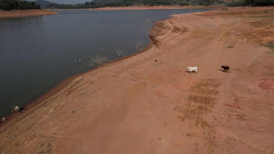 La sequía castiga a Brasil: embalses en alerta y la luz por las nubes