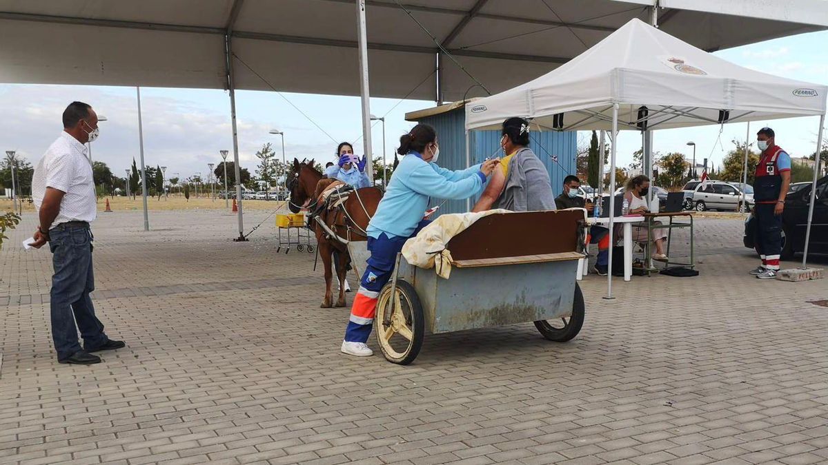 La foto viral de una mujer en Lepe vacunándose en un carro tirado por una mula