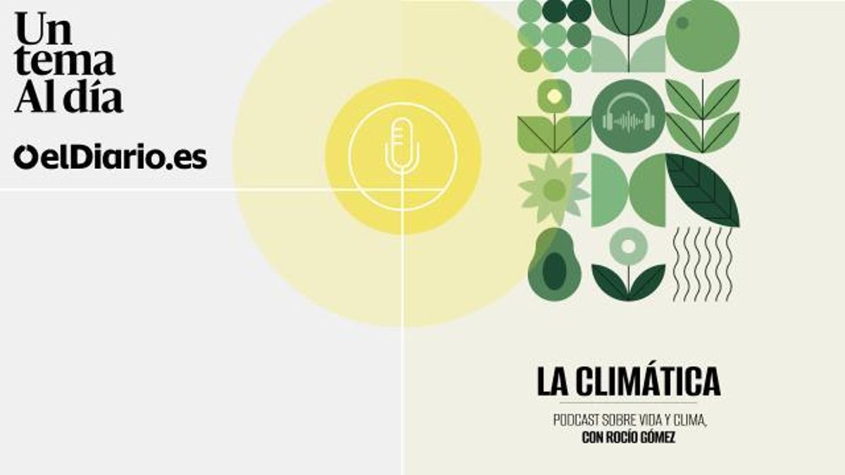 La Climática Verano 1 otros listado