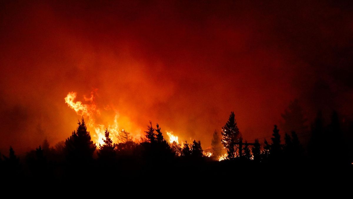 Un incendio forestal en Epuyén, provincia de Chubut, en enero de 2025, arrasó con miles de hectáreas de plantaciones, bosques nativos y pastizales. Se inició por causas humanas. Foto: cortesía Greenpeace Argentina