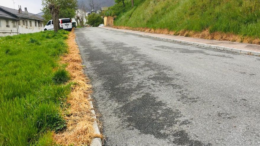 Detalle de los efectos de los químicos anti hierbas en la calle Cervantes de Villablino.