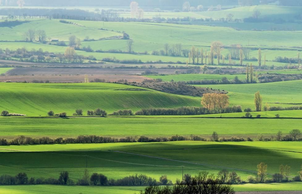 Vistas durante la vuelta al embalse de Ullíbarri Gamboa