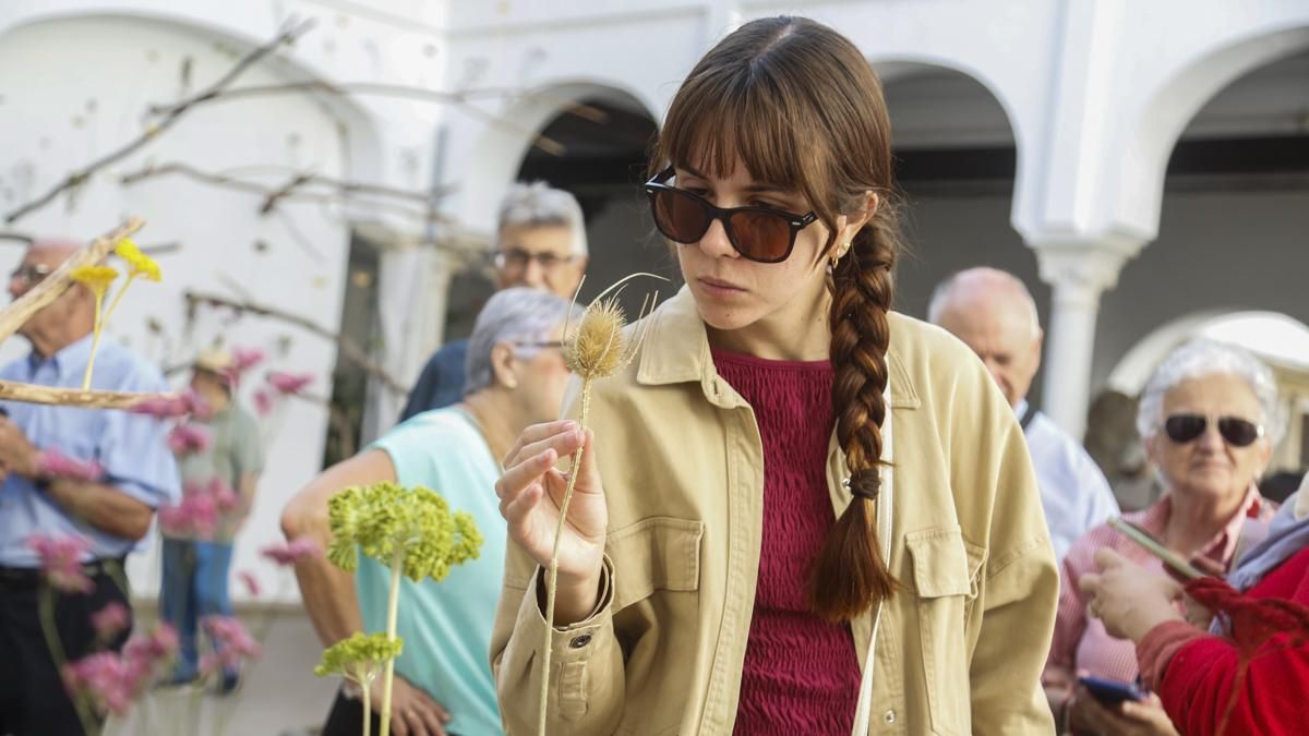 Flora 2025 - 'Arbor' (Museo Arqueológico)