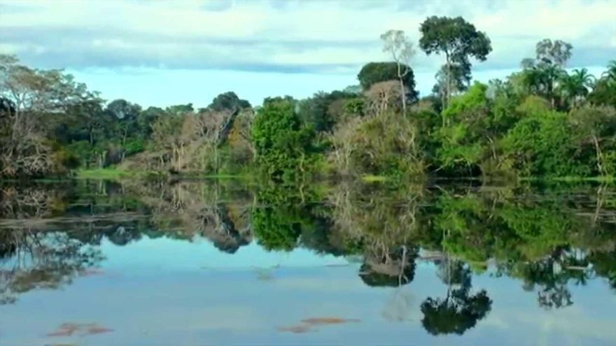 Salta la alarma en los ríos del planeta: la ciencia confirma que el aumento de calor y contaminación golpean reservas clave de agua dulce