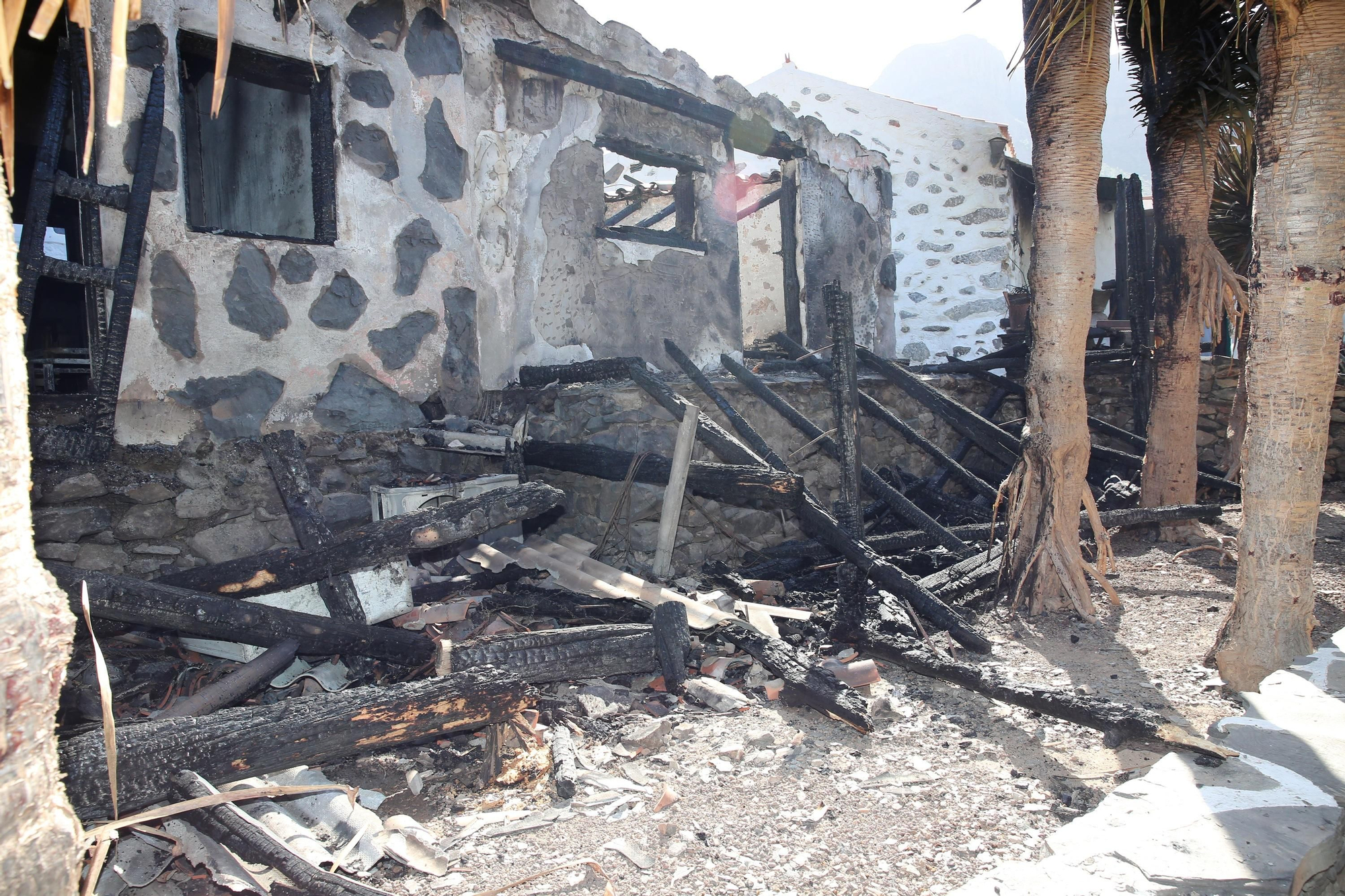 Así ha quedado el palmeral de Fataga tras el incendio declarado este sábado