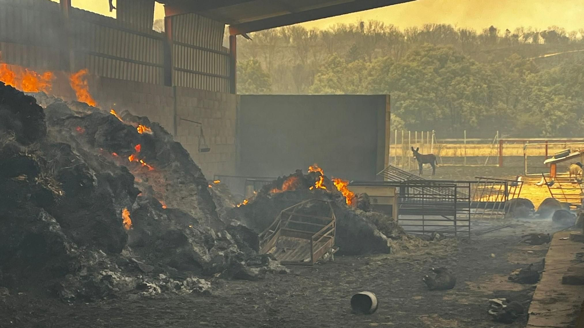 An agricultural ship razed in the forest fire that ravages southwest León.
