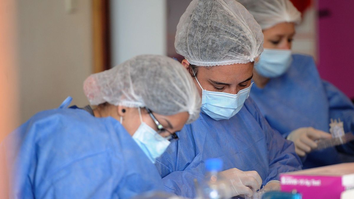 Trabajadores de la salud revisan pruebas de la covid-19 hoy, en un centro de testeo de coronavirus, en la vieja Confiteria Munich de Puerto Madero, en Buenos Aires (Argentina). EFE/Enrique García Medina