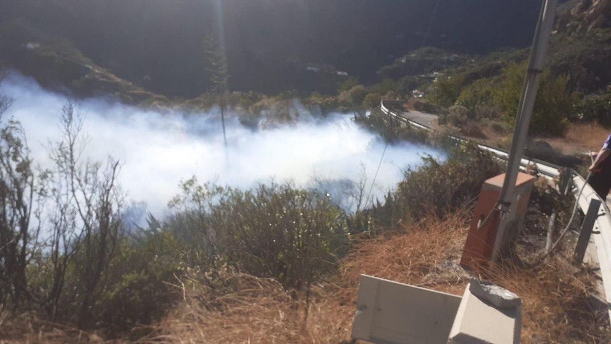 Conato de incendio en Risco Blanco, en Gran Canaria