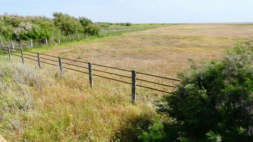 Doñana retrocederá medio siglo para deshacer "un disparate" y recuperar una entrada de agua vital para la marisma