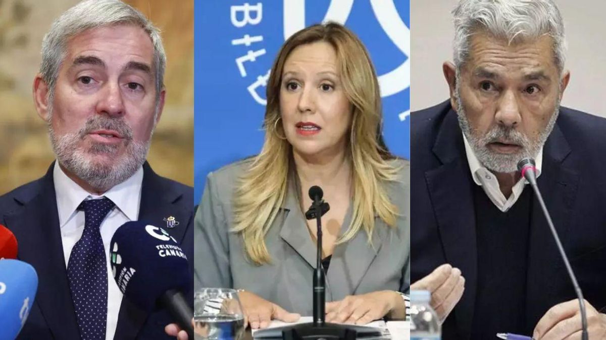 Estos son los 'Ecocidas del Año' en Canarias, según ATAN