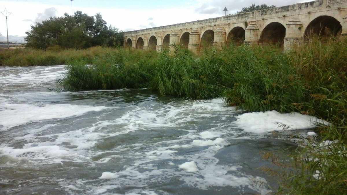 Desembocadura del Jarama en el Tajo, en Aranjuez, cubierta de espuma.