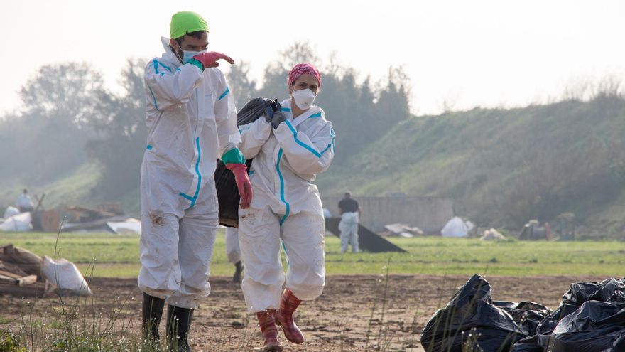 L’Albufera, tres meses después de la DANA