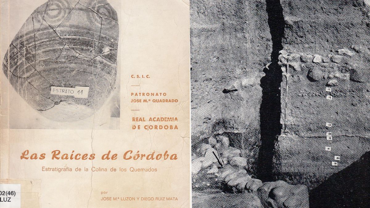 Las Raíces de Córdoba (Ejemplar FyL-UCO)