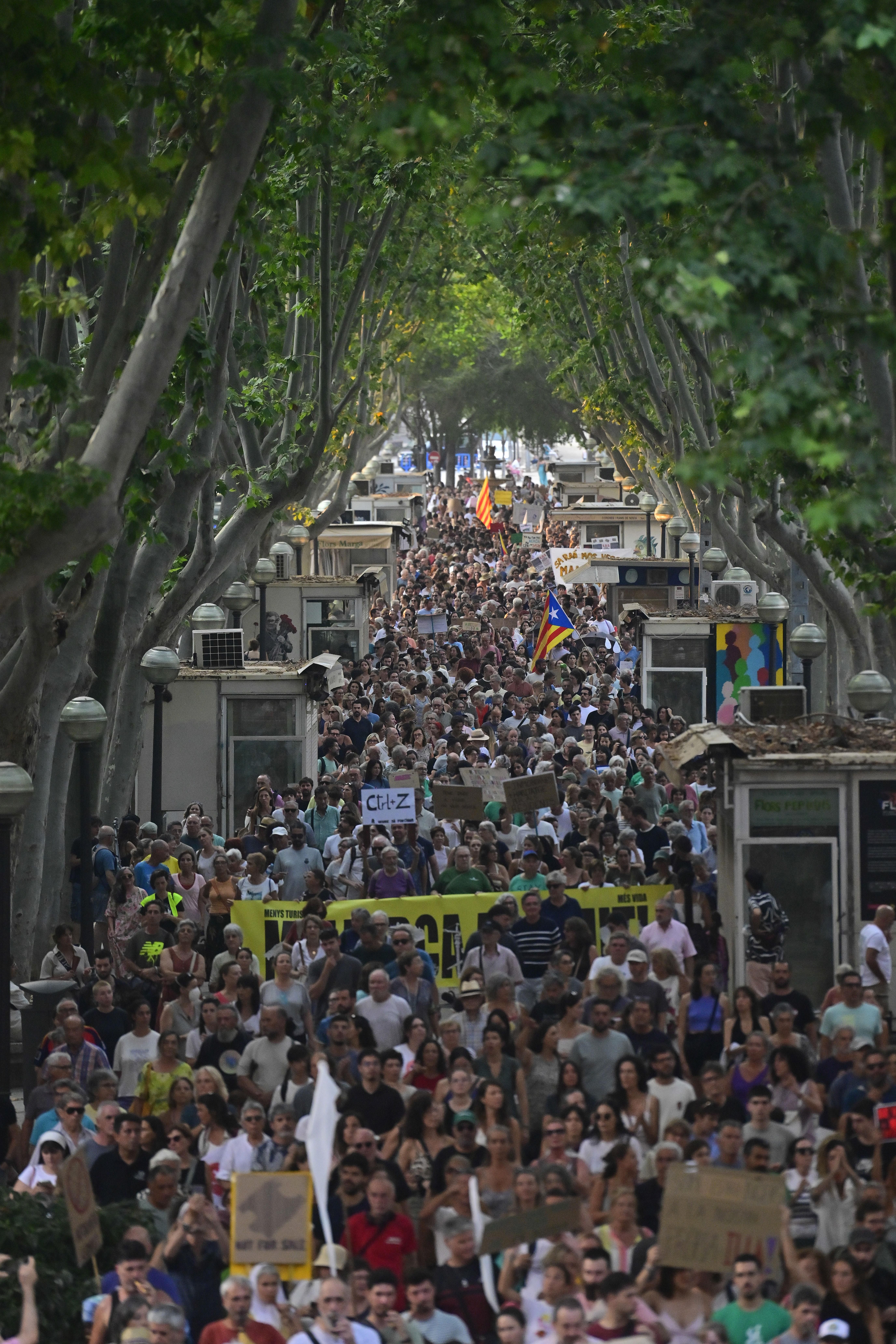 La protesta al seu pas per Les Rambles.