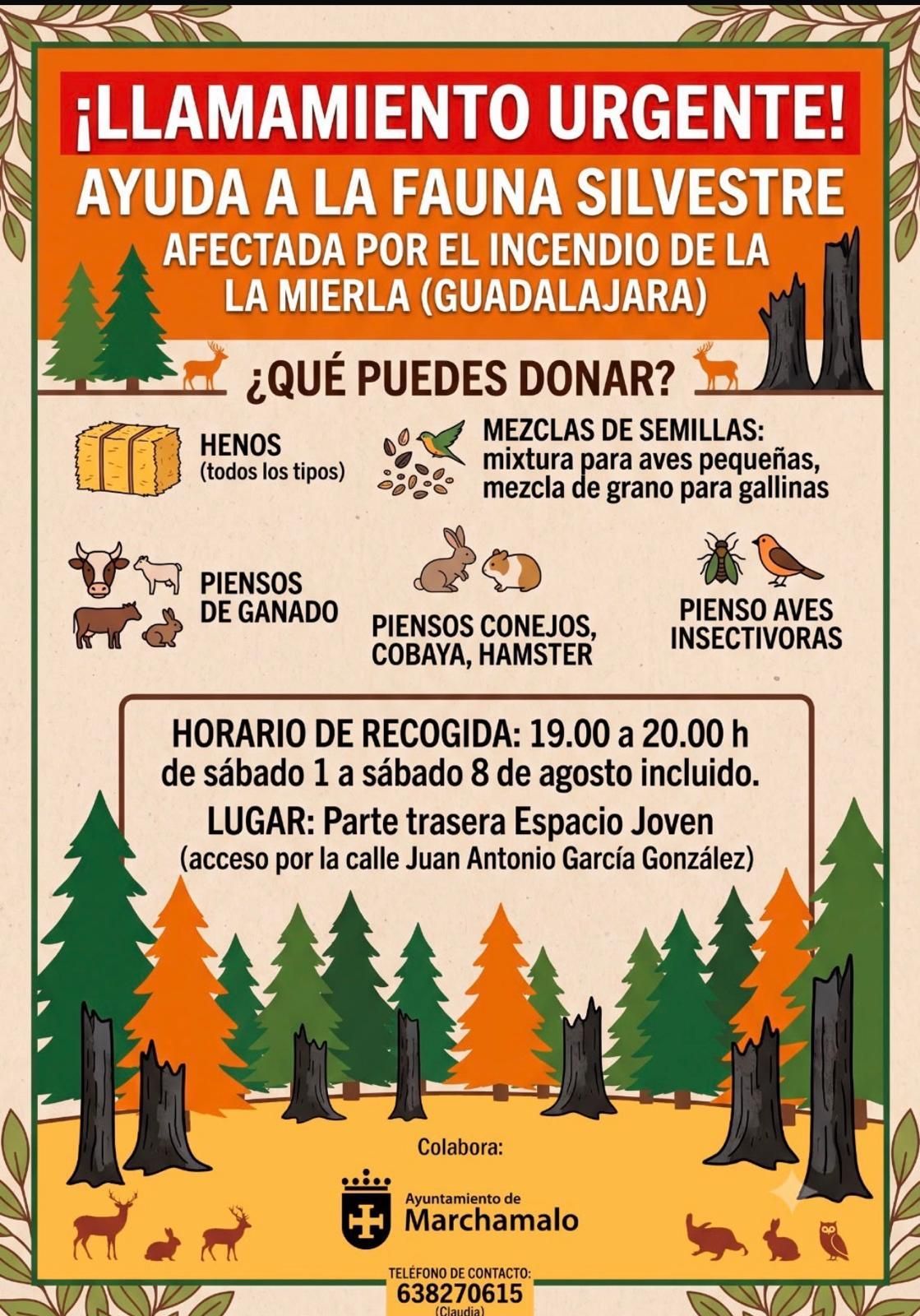 Llamamiento en la Sierra Norte de Guadalajara tras el incendio de La Mierla para alimentar a la fauna silvestre, sin alimento, a causa del fuego que ha devorado 32.000 hectáreas