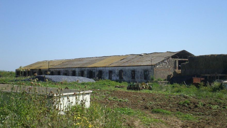 Solicitan que las colonias penitenciarias de Montijo se declaren lugares de memoria democrática
