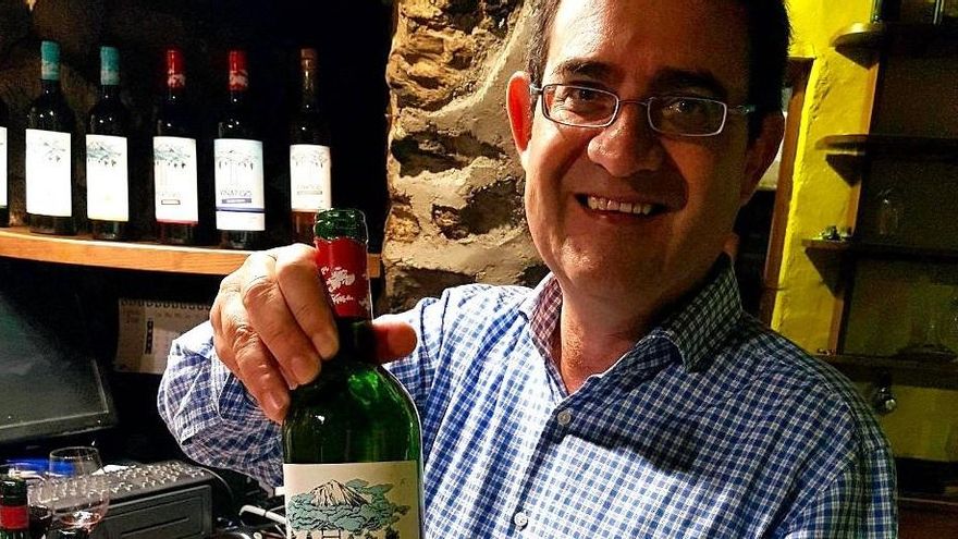 Preocupación en la industria del vino de calidad: “La  filoxera es la mayor amenaza conocida hasta la fecha”