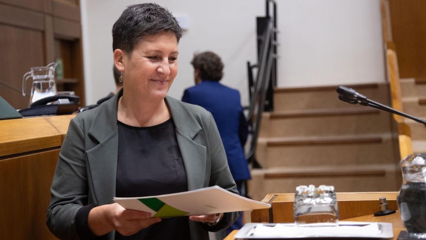 El Parlamento Vasco pide mayor prevención e inspección en las bodegas para atajar las muertes por el 'tufo' del vino