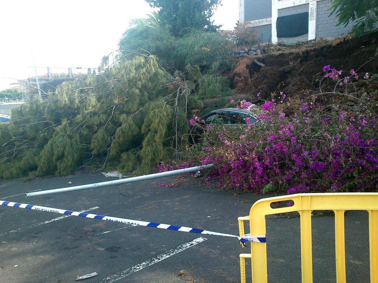 Tras el temporal, limpieza y reparaciones.