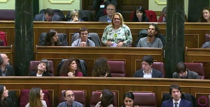 Meri Pita, en el Congreso de los Diputados. FOTO: Facebook de Podemos Canarias.