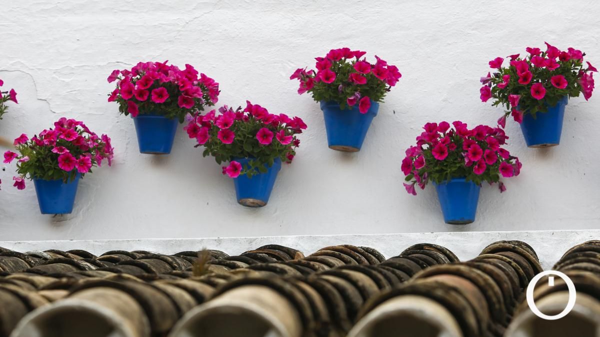 Patio en la C/ Tinte, 9