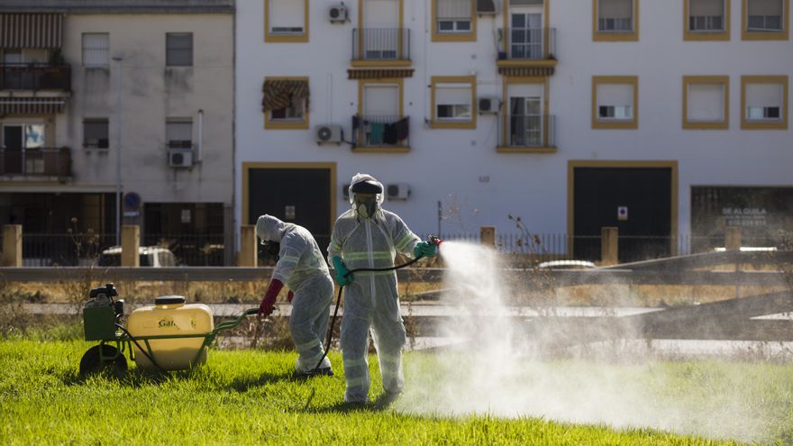 Dos trabajadores durante las labores de fumigación contra los mosquitos causantes del virus del Nilo en Coria del Río.