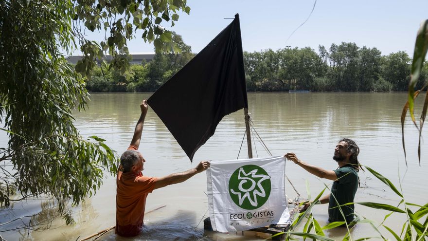 Gobierno y científicos reclaman a la Junta que el Consejo de Doñana analice el impacto de la mina de Aznalcóllar