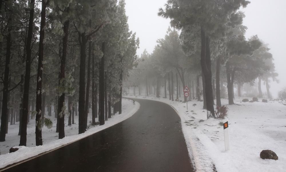 Cumbre grancanaria a jueves, 8 de febrero de 2018.