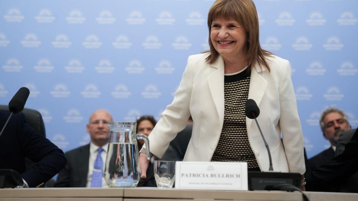 Bullrich desembarca en el Congreso: acumulación de poder y la construcción de un nuevo polo de poder oficialista