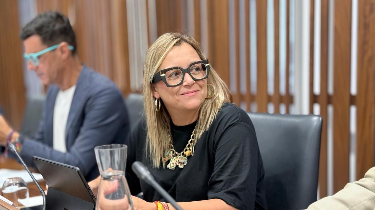 El PP cuestiona que el Cabildo retire 561.000 euros”  del Campo de fútbol de La Laguna tras años anunciando su reconstrucción”